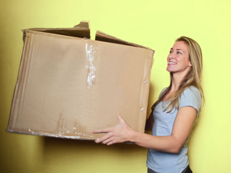 Moving Boxes
