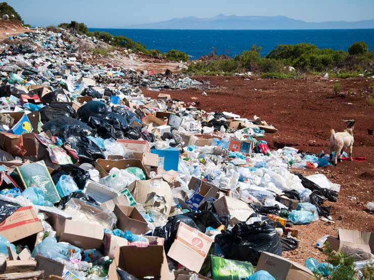 Plastic Pollution