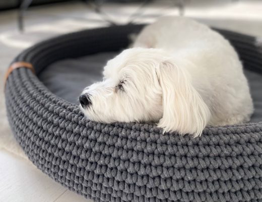 Luxury Dog Bed