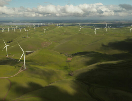 Sustainability